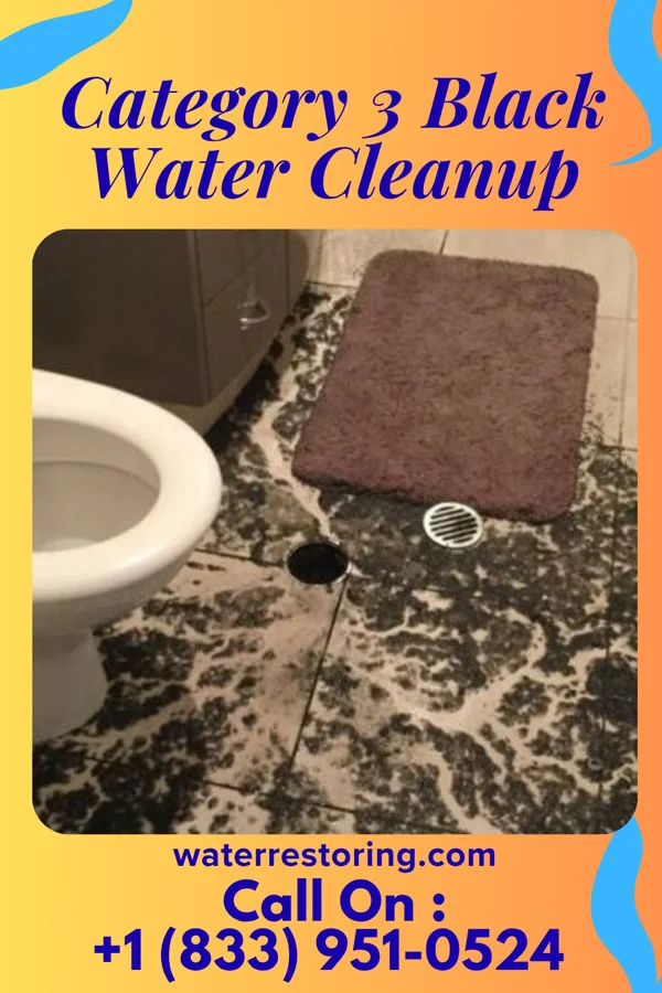 Category 3 Black Water Cleanup in Laytonsville, MD