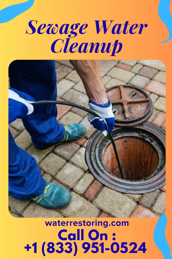 Sewage Water Cleanup in Laytonsville, MD