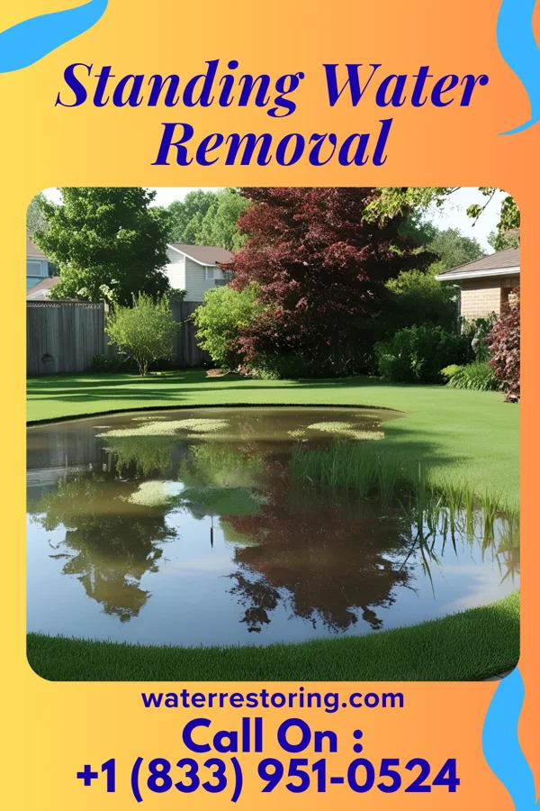 Standing Water Removal in Laytonsville, MD
